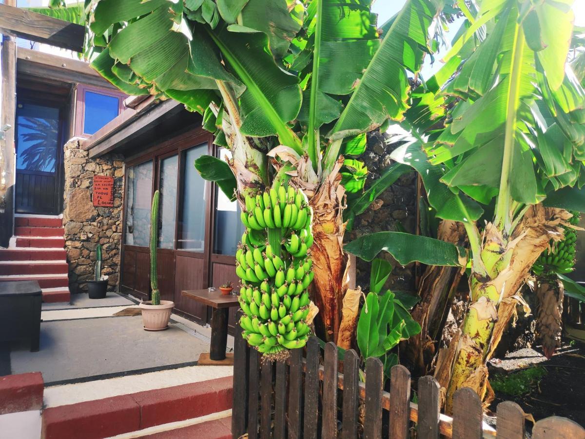 Finca Villa Lucia - El Mirador Mácher المظهر الخارجي الصورة